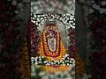 🙏🏻❤️🌹🌿🚩main to aata raha tere dar pe sada #shiladevi #jaipurtemple #bhagtisong #shortsyoutube