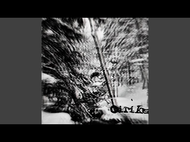CRT HNTR 2