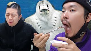 Fermented Skate Mukbang, it’s a food you either love or hate it