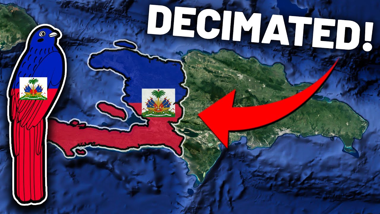Haiti is facing a PROBLEMS in ALL DIRECTIONS! YouTube