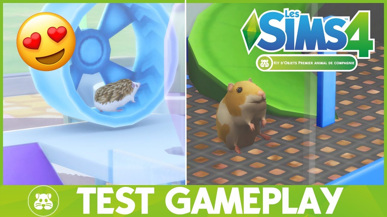 [TEST] LES SIMS 4 PREMIER ANIMAL DE COMPAGNIE GAMEPLAY