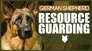 How To Stop Your GERMAN SHEPHERD RESOURCE GUARDING