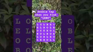 Observation Visual Test: 5 Seconds For You To Spot:LEBO . Try Your Skills!  #search #puzzle #shorts