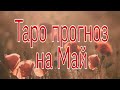 Таро прогноз на Май. | Гадание таро | Таро онлайн | Тайна Жрицы |