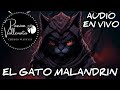 El Gato Malandrin Passion Vallenata Cumbia Audio En Vivo 2023 🐈🐱🪗🔥