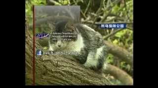 【20120803】 晚间新闻 Part3