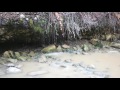 Dripping Rock Trail in Winter by Utahs Adventure Family