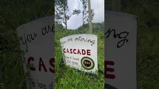 Cascade, Blue Mountains, Portland, Jamaica