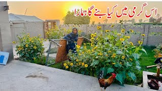 Es Garmi Main Kya Bane Ga Hamara I Mud House Life Pakistan I Happy Joint Family by Happy Joint Family 146,374 views 4 days ago 17 minutes