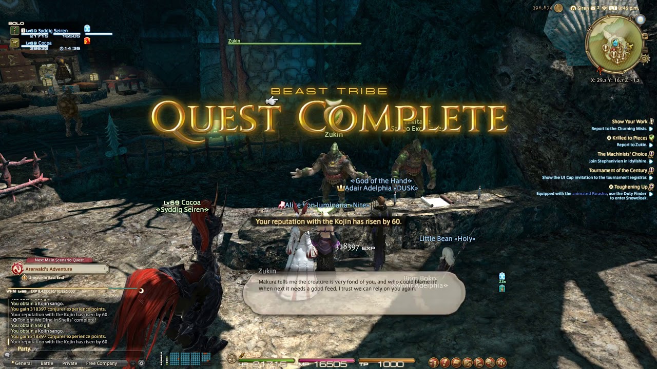 FFXIV - Shadowbringers Casual Prep - Fat Black Chocobo