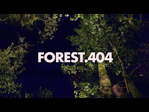FOREST 404 AFTERMOVIE ✖ Dealerdeclip
