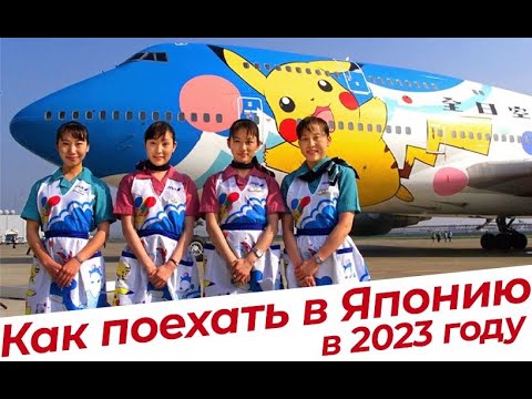 Как поехать в Японию в 2023 году?  Визы, перелеты, требования.