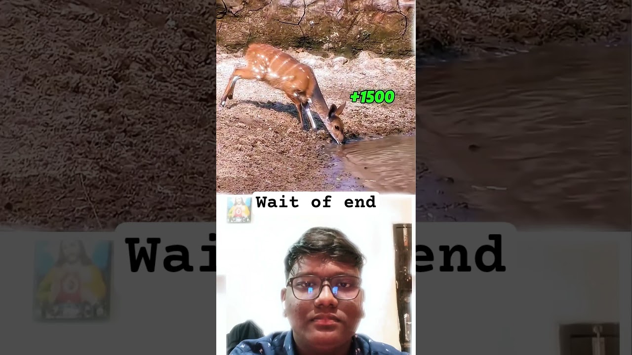 The life of the deer is big hard