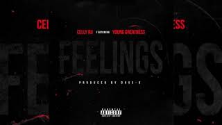Celly Ru X Young Greatness - Feelings (P. Dave-O)