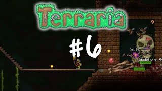Skelebee - Terraria "Not the bees!" Playthrough