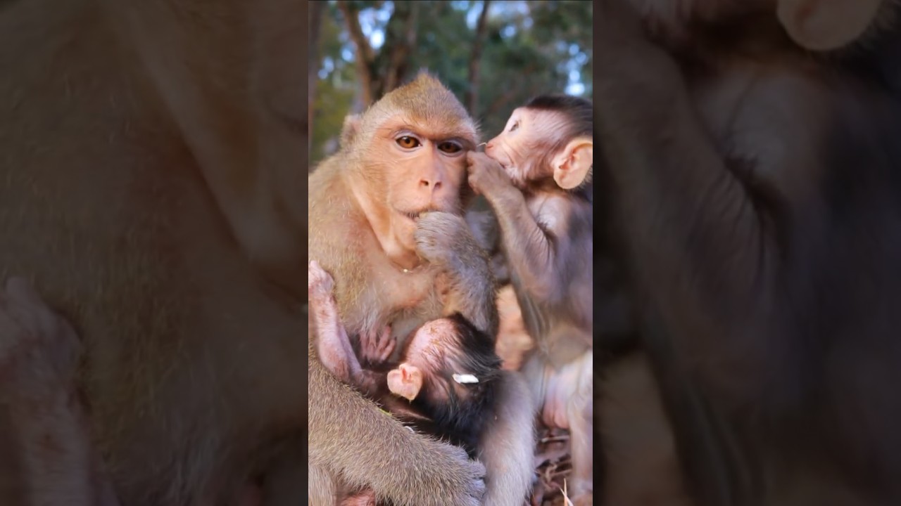Awesome Lovely Mum Maya Hold Baby Avery
