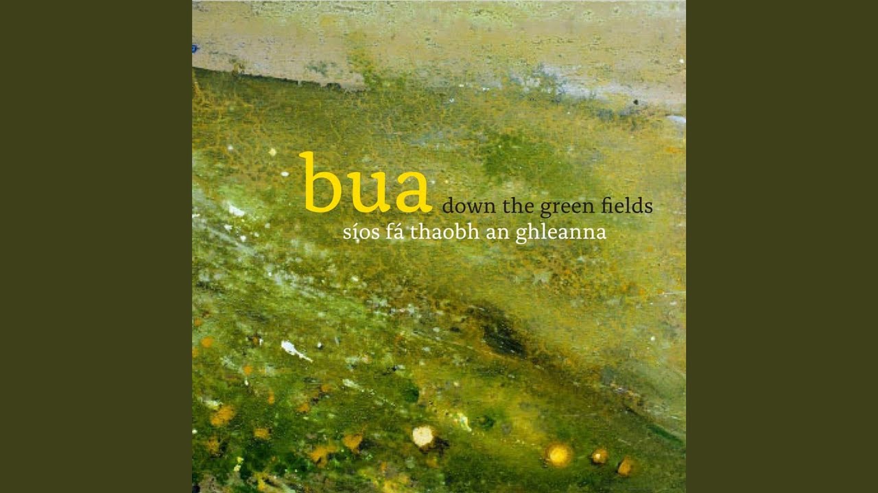 The Humors of Drinagh / Farewell, Sweet Nora / James Murray's