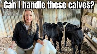 Feeding Twin Calves This BIG By Myself | Farm Reality Check!
