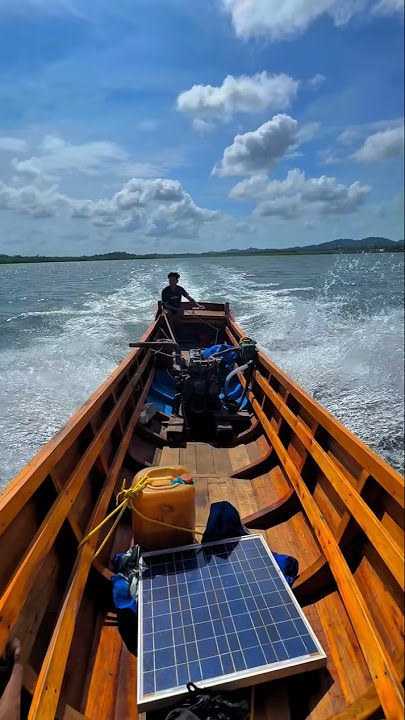 Wiss can already walk with his pompong #shorts #foryou