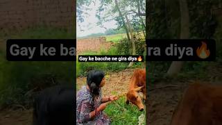 बदल बा अब तक ई मनवा के मौसम #kalpana #bhojpuri song #treding video #☔☔☔🌧️🌧️🌨️⛈️#short video #🙏🙏👍👍😘😘😂