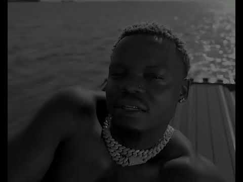 Harmonize - loser (visualize video) 31 album 