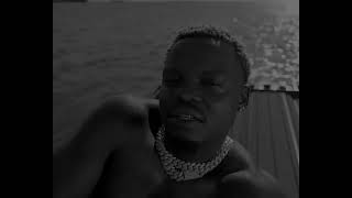 Harmonize - loser (visualize video) 31 album 
