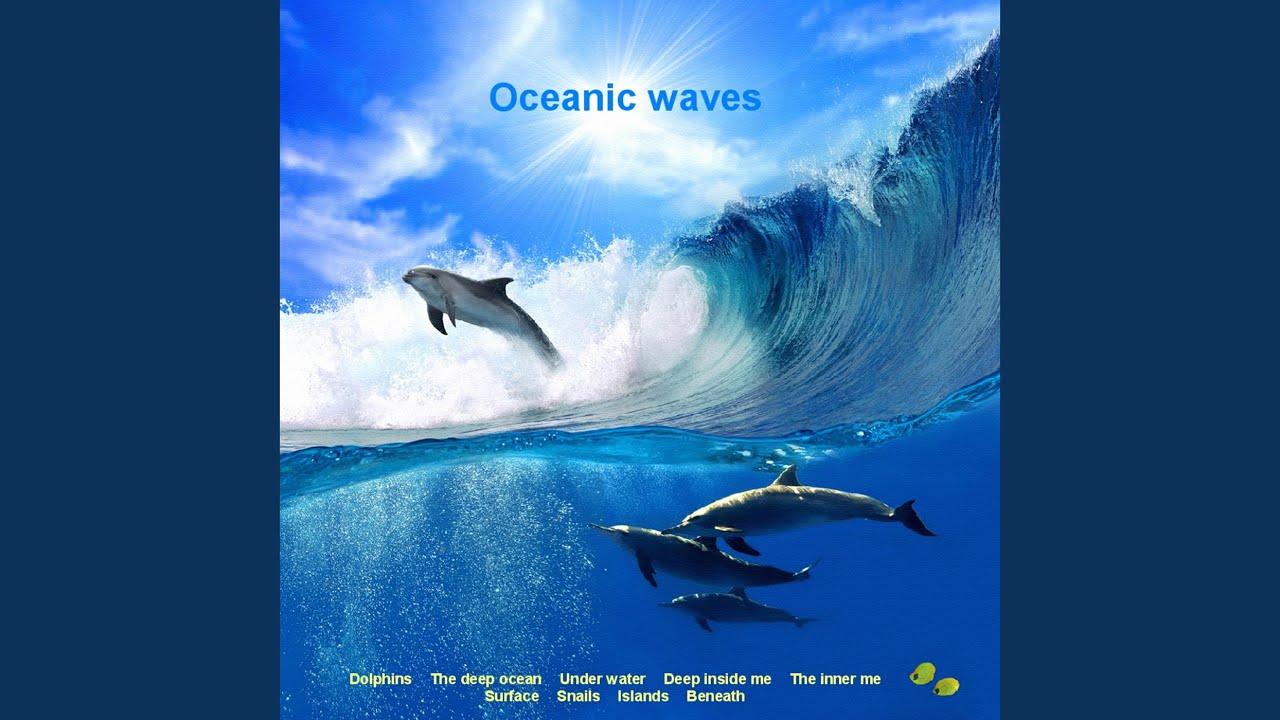 Guarda Dolphins su YouTube Guarda Dolphins su YouTube