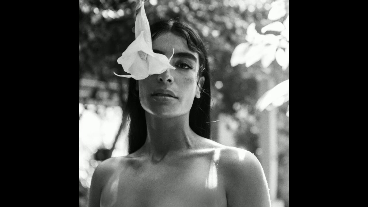 [FREE]Sevdaliza x Frank Dukes Type Beat - " Hell Of A Night " | Instrumental 2020