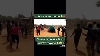 Is This Voodoo Or Fake