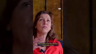 Hostel turns into off-season shelter for homeless | DW News