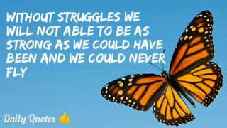 Details Man and the butterfly || short story || MotiveToInspire News