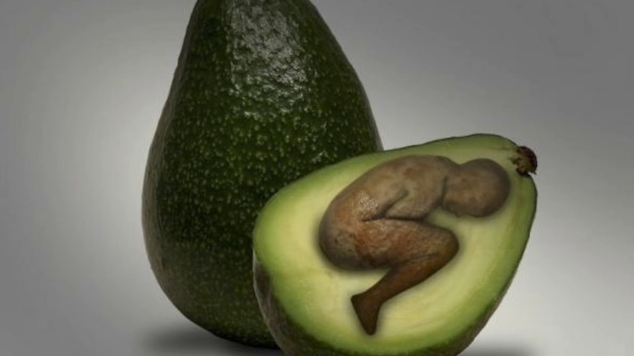 Авокадо. Масло авокадо. Гнилой авокадо. Говорящее авокадо. Я буду говорить только в присутствии своего авокадо.