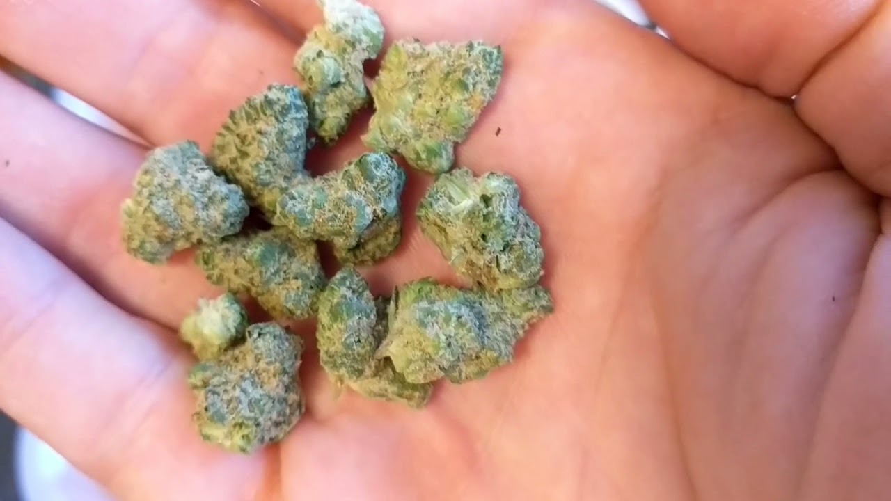 London Pound Mints Oz Bulk Deal Muv Longwood