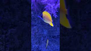 Seattle Aquarium-2.04/08/2026.#754