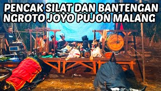 LIVE PENCAK SILAT DAN BANTENGAN NGROTO JOYO PUJON MALANG