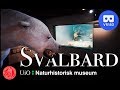 VR180 Naturhistorisk Museum - Svalbard (in Norwegian)