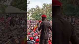 Bobi Wine in Bugiri #nup #bobiwine #viralvideo #viralshorts #ntv