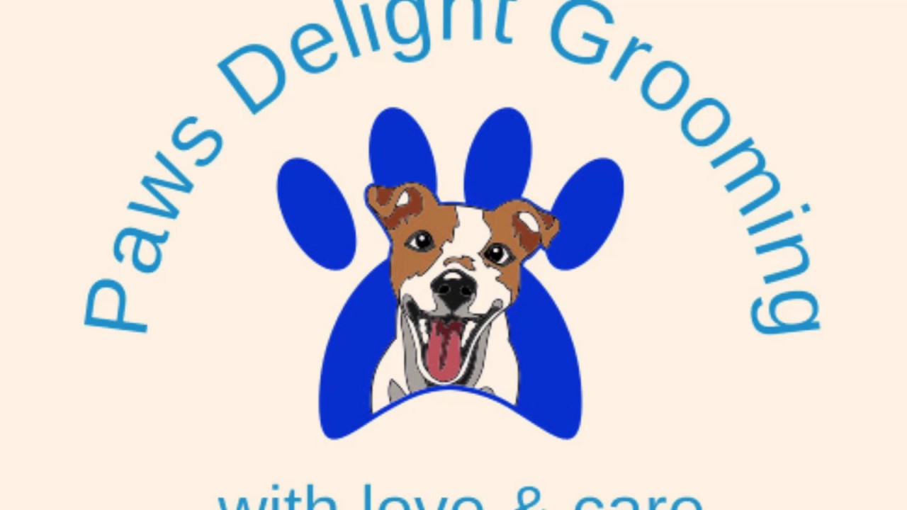 INTRO VIDEO Dog groomer - YouTube