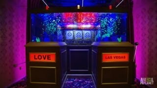 Reveal: Vegas Weddings Tank | Tanked