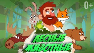 Кто Живёт В Лесу? 🐻 👶 Песенка Для Детей