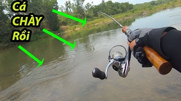 Câu Cá CHÀY Đất | Câu LURE Suối Không Bao Giờ Làm Ta Thất Vọng | Cần Thủ Đất Quảng. T08