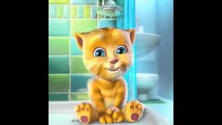 gato amarillo no me quiero bañar