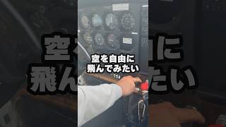 都会の空を飛んでみたらすごかった【 セスナ 遊覧飛行 八尾空港 】#shorts