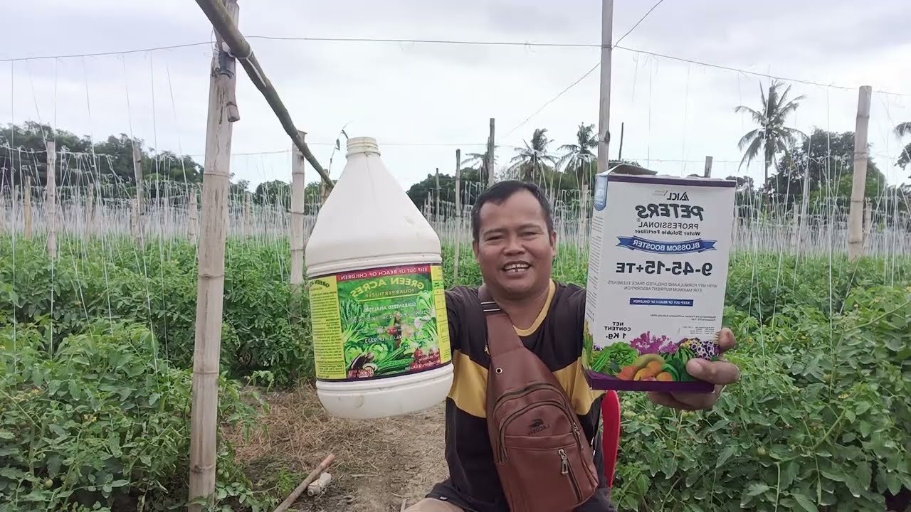  Foliar fertilizer na maganda gamitin pang parami ng mga bulaklak,bunga sa lahat natin mga pananim 