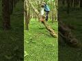 funny73🐒🥰#comedy #funny #anmals #shortsfeed