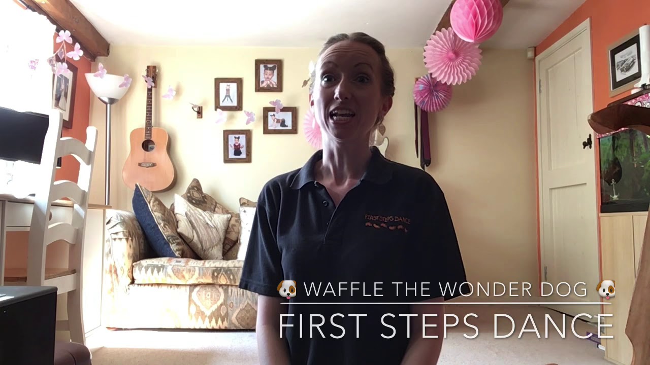 CBeebies Waffle The Wonder Dog 🐶 YouTube