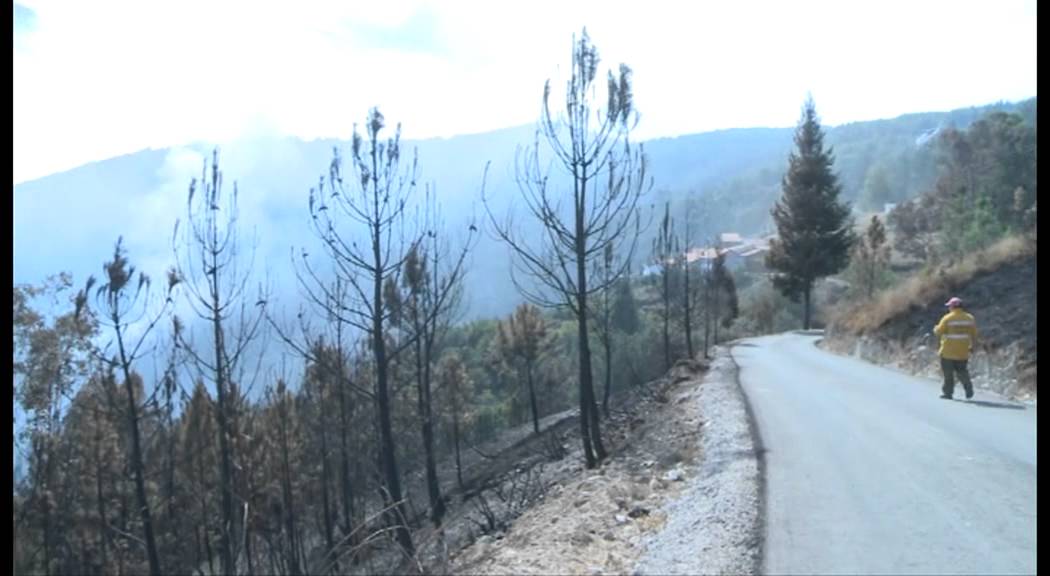 Fogo florestal em Aveleira
