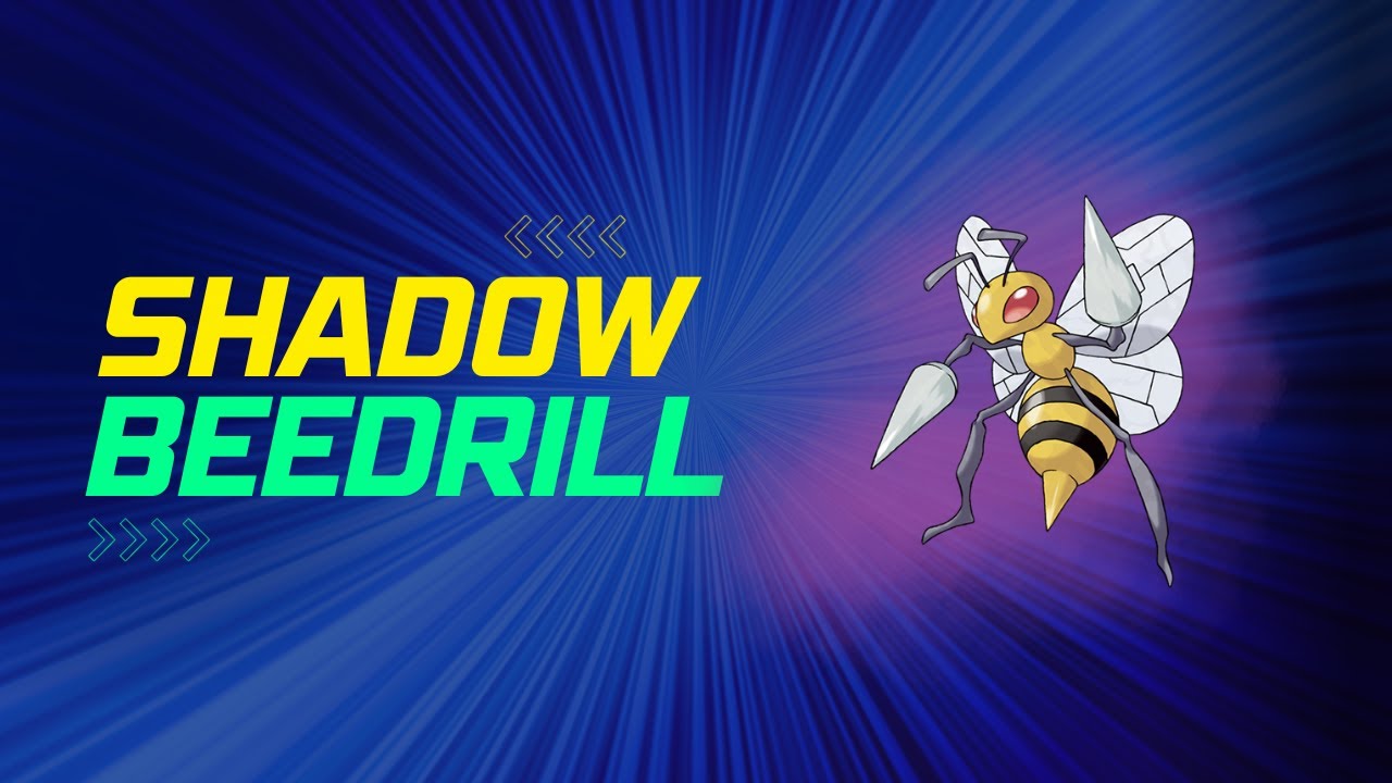 SHADOW BEEDRILL TEAM | GO BATTLE LEAGUE