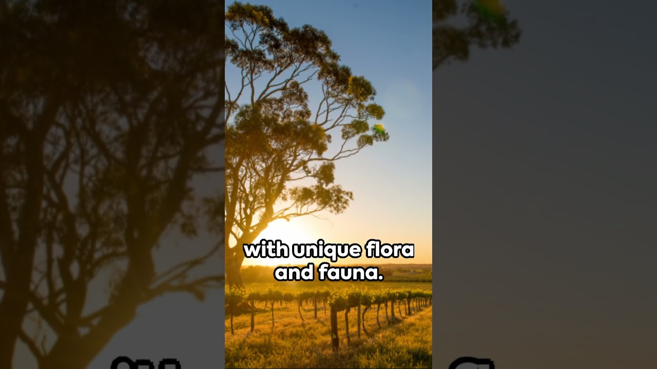 6 gems to visit in Australia. 