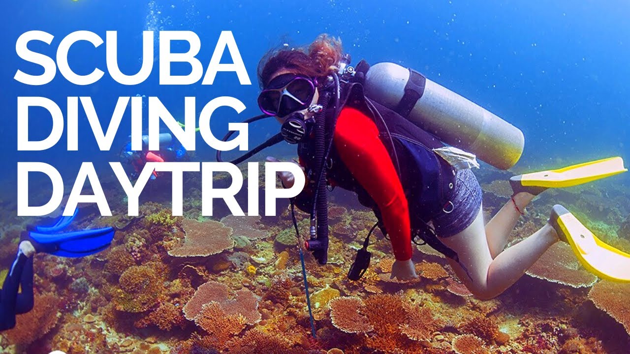 Scuba Diving Daytrip in Kota Kinabalu, Sabah with Team Downbelow YouTube